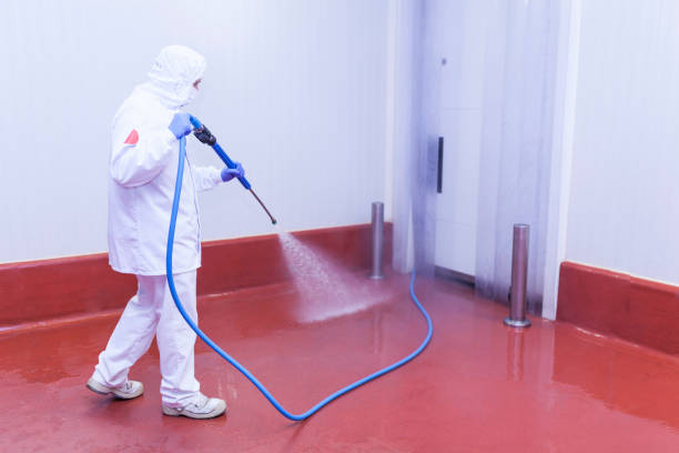 Best Residential Exterior Washing  in Valley Mills, TX